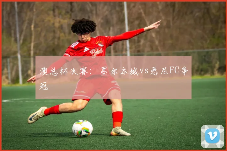 澳总杯决赛:墨尔本城vs悉尼FC争冠