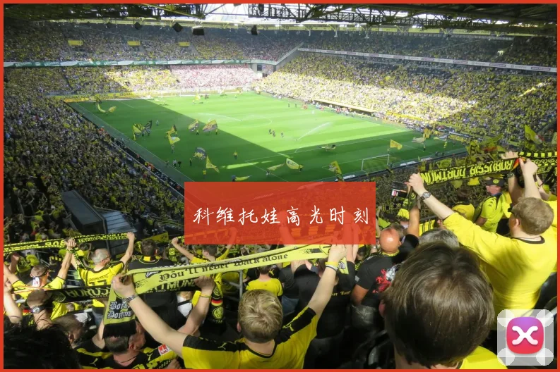 科维托娃高光时刻