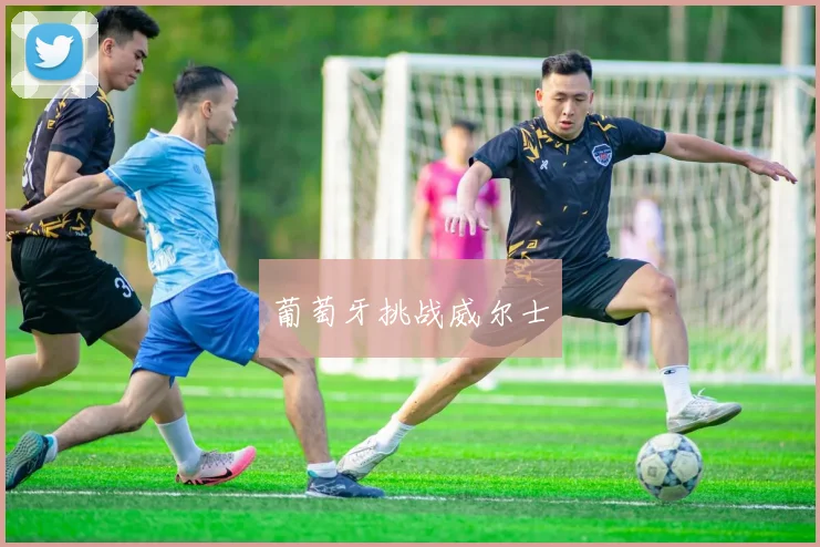 葡萄牙挑战威尔士
