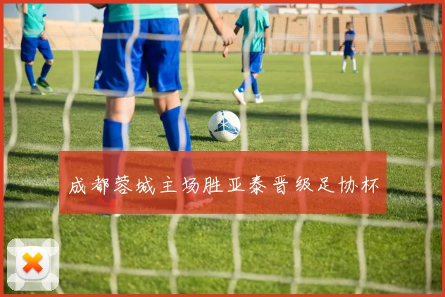 成都蓉城主场胜亚泰晋级足协杯