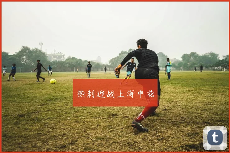 热刺迎战上海申花