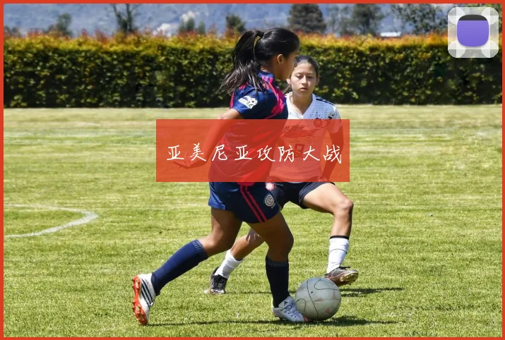 亚美尼亚攻防大战