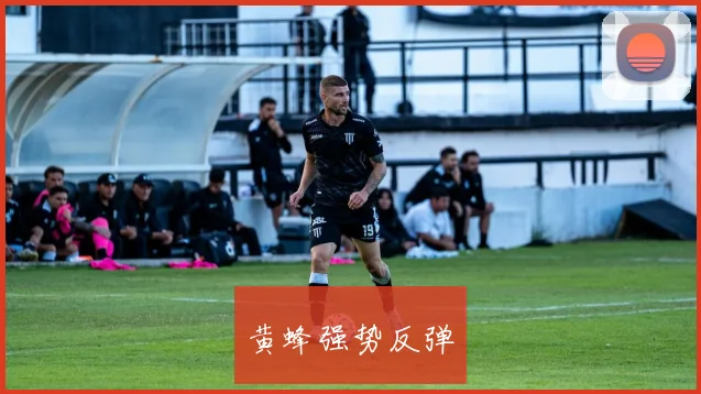 黄蜂强势反弹