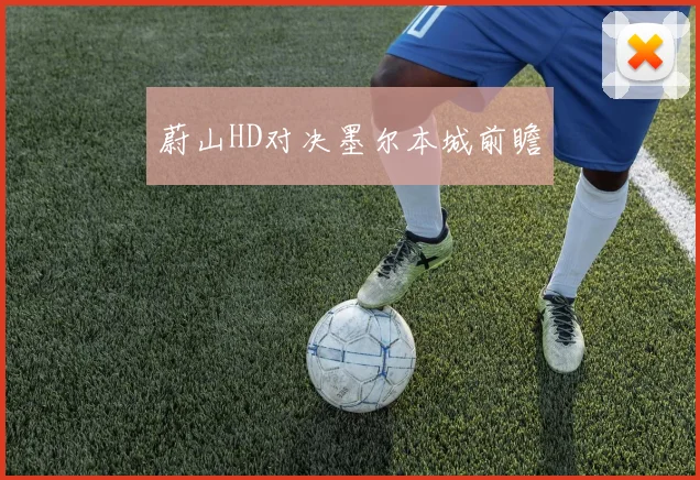 蔚山HD对决墨尔本城前瞻