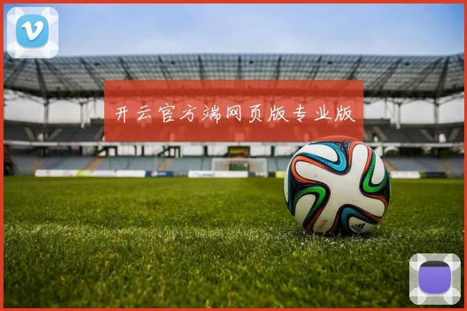 开云官方端网页版专业版