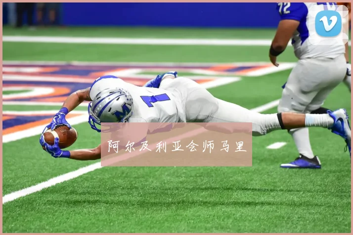 阿尔及利亚会师马里