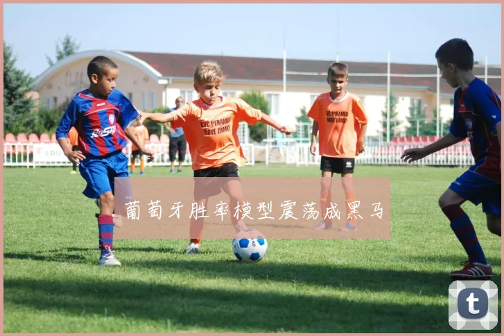葡萄牙胜率模型震荡成黑马