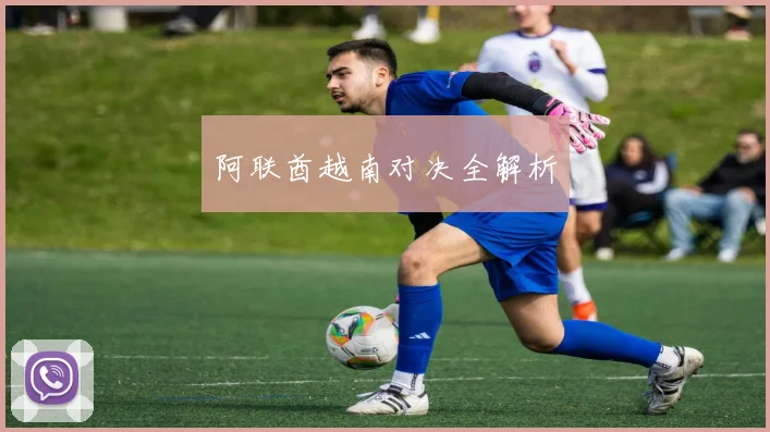 阿联酋越南对决全解析