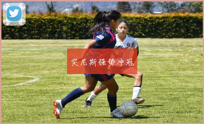 突尼斯强势冲冠