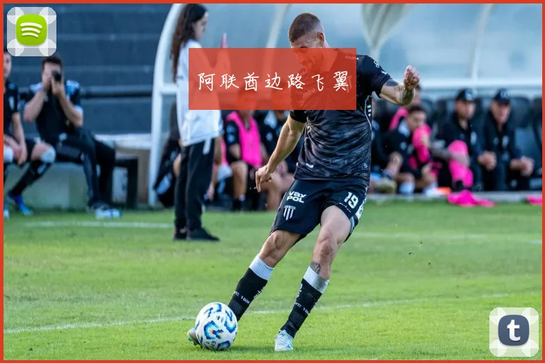阿联酋边路飞翼