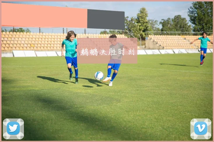 鹈鹕决胜时刻