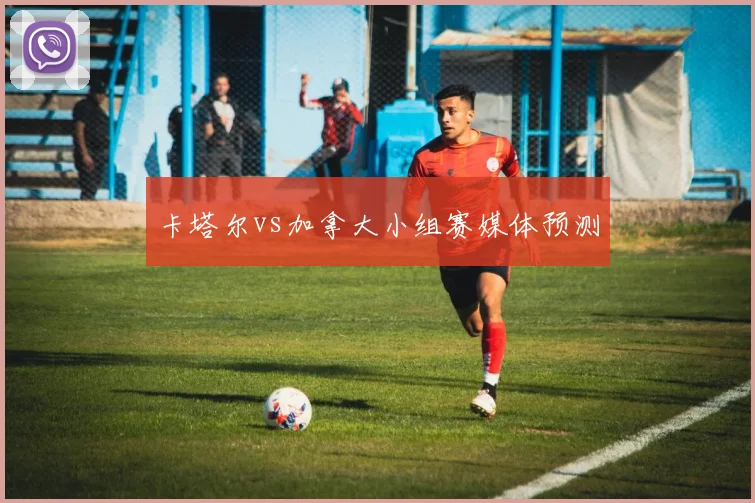 卡塔尔vs加拿大小组赛媒体预测