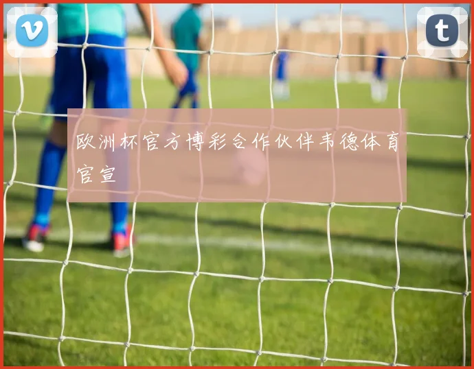欧洲杯官方博彩合作伙伴韦德体育官宣