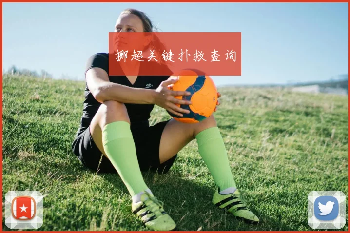 挪超关键扑救查询