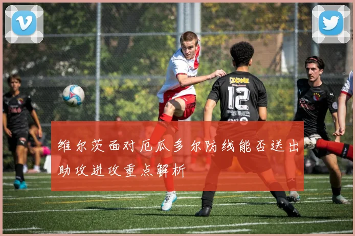 维尔茨面对厄瓜多尔防线能否送出助攻进攻重点解析