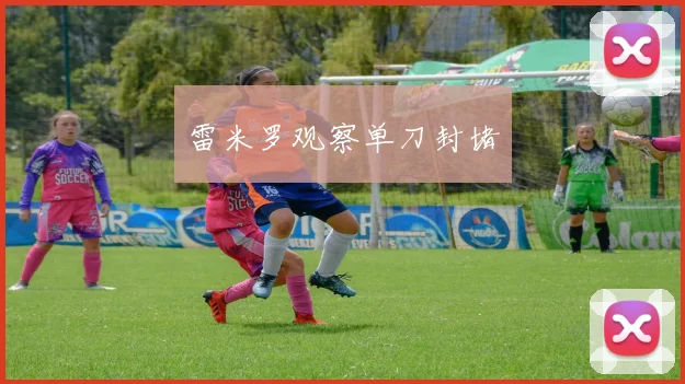 雷米罗观察单刀封堵